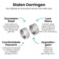 RVS Oorringen met Duo Afwerking Mat en Glans Zilverkleur 20mm -