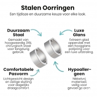 Brede RVS Oorringen Glad Glanzend Zilverkleur 20mm -