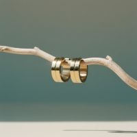 RVS Oorringen met Smalle Lijn Goudkleur 20mm -
