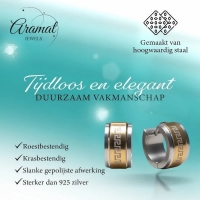 Bicolor RVS Oorringen Grieks Motief Goud & Zilver 13mm -
