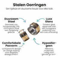 Bicolor RVS Oorringen Grieks Motief Goud & Zilver 13mm -