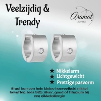 Kleine RVS Oorringen met Zirkonia Accent Zilverkleur 13mm -