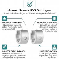 Kleine RVS Oorringen met Zirkonia Accent Zilverkleur 13mm -
