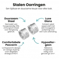 Kleine RVS Oorringen met Zirkonia Accent Zilverkleur 13mm -