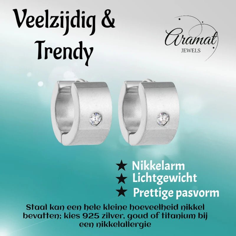 Oorringen &ndash; 13mm Mini Creool Zirkonia Accent RVS Zilverkleur Unisex