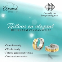 Bicolor RVS Oorringen met Gouden Streep 20x7mm -