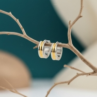 Bicolor RVS Oorringen met Gouden Streep 20x7mm -