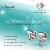 Zilverkleurige Mini RVS Oorringen met 2 Rijen Kristal 13x7mm -