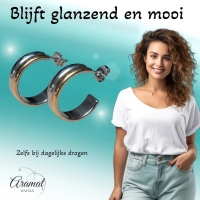 RVS Half-Hoop Oorbellen Bicolor Goud Zilver 23mm - Dames -