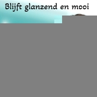 RVS Huggie Oorringen Glad Regenboogkleur 20mm - Unisex -