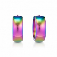 RVS Huggie Oorringen Glad Regenboogkleur 20mm - Unisex -