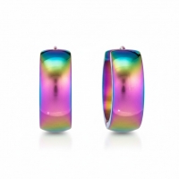 RVS Huggie Oorringen Glad Regenboogkleur 20mm - Unisex