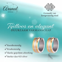 RVS Oorringen Bicolor Streep Goud Zilver 20mm - Dames -