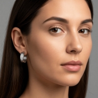 RVS Oorringen Kristal Streep Zilverkleur 20mm - Dames -