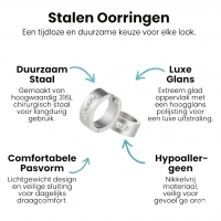 RVS Oorringen Kristal Streep Zilverkleur 20mm - Dames -
