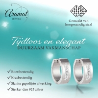 RVS Oorringen Kristal Streep Zilverkleur 20mm - Dames -