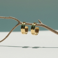 Oorbellen &acirc;&euro;&ldquo; 23mm Half-Hoop 2 Strepen RVS Goudkleur Dames -