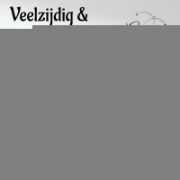 Oorbellen &acirc;&euro;&ldquo; 23mm Half-Hoop Streeprelief RVS Goudkleur Dames -