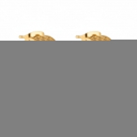 Oorbellen &acirc;&euro;&ldquo; 23mm Half-Hoop Streeprelief RVS Goudkleur Dames -