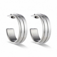 Oorbellen &acirc;&euro;&ldquo; 23mm Half-Hoop 2 Strepen RVS Zilverkleur Dames -