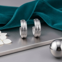 Oorbellen &acirc;&euro;&ldquo; 23mm Half-Hoop 2 Strepen RVS Zilverkleur Dames -