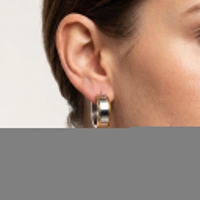 Oorringen &acirc;&euro;&ldquo; 20mm Bicolor Streep RVS Zilver/Goudkleur Unisex -