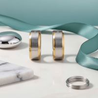 Oorringen &acirc;&euro;&ldquo; 20mm Bicolor Streep RVS Zilver/Goudkleur Unisex -