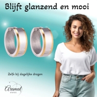 Oorringen &acirc;&euro;&ldquo; 20mm Bicolor Streep RVS Zilver/Goudkleur Unisex -