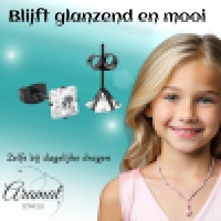 Oorbellen &acirc;&euro;&ldquo; RVS Zwartkleur met Vierkante Zirkonia (6mm) -