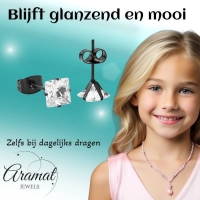 Oorbellen &acirc;&euro;&ldquo; RVS Zwartkleur met Vierkante Zirkonia (6mm) -