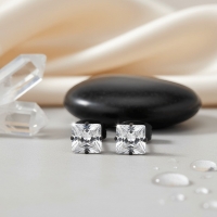 Oorbellen &acirc;&euro;&ldquo; RVS Zwartkleur met Vierkante Zirkonia (5mm) -