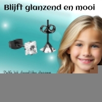 Oorbellen &acirc;&euro;&ldquo; RVS Zwartkleur met Vierkante Zirkonia (5mm) -