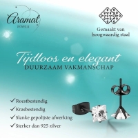 Oorbellen &acirc;&euro;&ldquo; RVS Zwartkleur met Vierkante Zirkonia (5mm) -