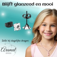 Oorbellen &acirc;&euro;&ldquo; RVS Zwartkleur met Vierkante Zirkonia (5mm) -