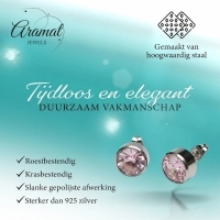 Oorstekers &acirc;&euro;&ldquo; Staal Kristal Roze Zilverkleur (10mm) -