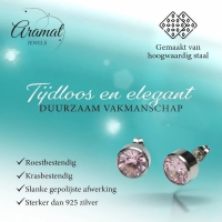 Oorstekers &acirc;&euro;&ldquo; Staal Kristal Roze Zilverkleur (10mm) -