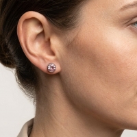 Oorstekers &acirc;&euro;&ldquo; Staal Kristal Roze Zilverkleur (10mm) -
