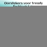 Oorstekers &acirc;&euro;&ldquo; Staal Kristal Roze Zilverkleur (10mm) -