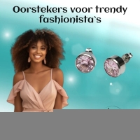 Oorstekers &acirc;&euro;&ldquo; Staal Kristal Roze Zilverkleur (10mm) -