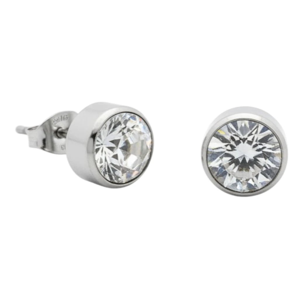 Oorstekers &acirc;&euro;&ldquo; Staal Kristal Transparant Zilverkleur (10mm) -