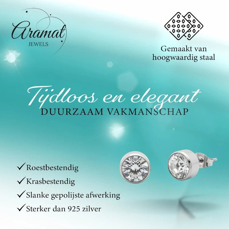 Oorstekers &acirc;&euro;&ldquo; Staal Kristal Transparant Zilverkleur (10mm) -