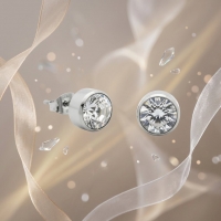Oorstekers &acirc;&euro;&ldquo; Staal Kristal Transparant Zilverkleur (10mm) -