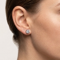 Oorstekers &acirc;&euro;&ldquo; Staal Kristal Transparant Zilverkleur (10mm) -