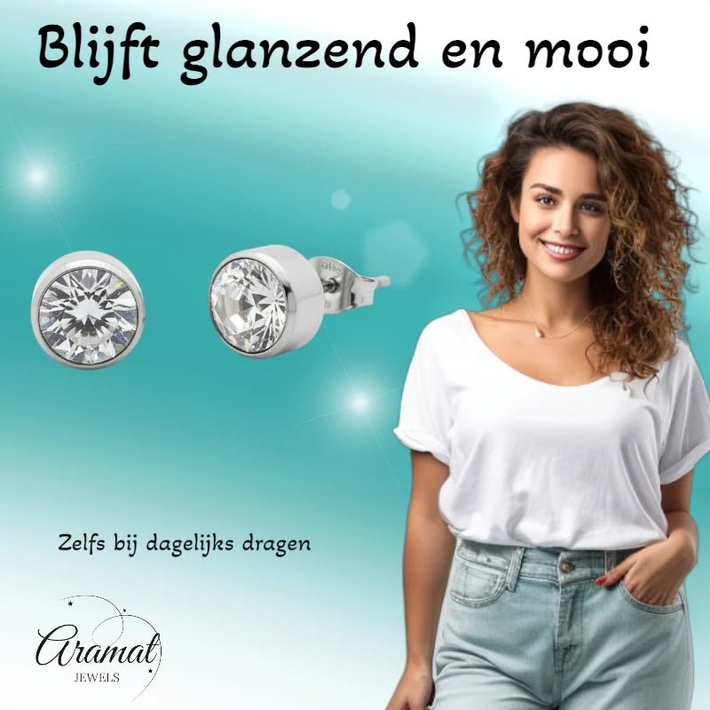 Oorstekers &acirc;&euro;&ldquo; Staal Kristal Transparant Zilverkleur (10mm) -