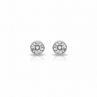 Oorstekers &acirc;&euro;&ldquo; Staal Kristal Transparant Zilverkleur (10mm) -