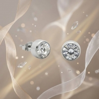 Oorstekers &acirc;&euro;&ldquo; Staal Kristal Transparant Zilverkleur (10mm) -