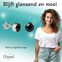 Oorstekers &acirc;&euro;&ldquo; Staal Kristal Zwart Zilverkleur (8mm) -