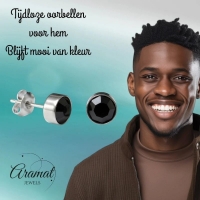 Oorstekers &acirc;&euro;&ldquo; Staal Kristal Zwart Zilverkleur (8mm) -