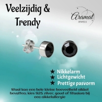 Oorstekers &acirc;&euro;&ldquo; Staal Kristal Zwart Zilverkleur (8mm) -