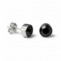 Oorstekers &acirc;&euro;&ldquo; Staal Kristal Zwart Zilverkleur (8mm) -